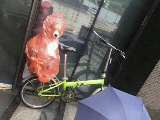 下雨天铲屎官给狗狗的自制雨衣也真是够骚