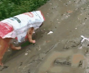 下雨天铲屎官给狗狗的自制雨衣也真是够骚