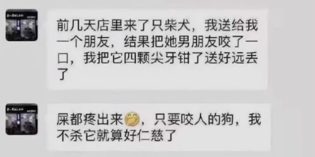 小柴犬被活活拔掉牙齿后施虐者：我是一个很喜欢狗的人